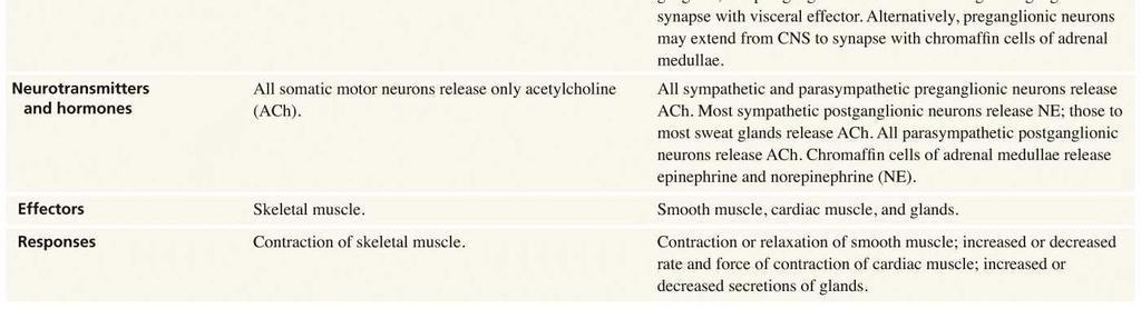 located in an autonomic ganglion where it synapses with preganglionic axons).