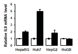 (A) Comparison of IL6 (left panel) and IL8 (right panel) mrna levels detected by Q-RT-PCR in 3 hepatoma cell lines (, Huh7, HepG2)