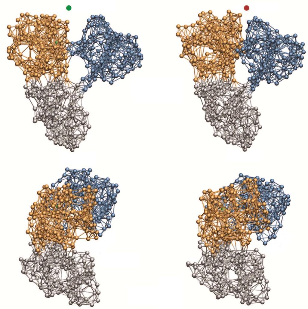Flechsig H. Operation cycles of HCV helicase Substrate Product Figure 2 Cyclic ligand-induced conformational motions in hepatitis C virus helicase.