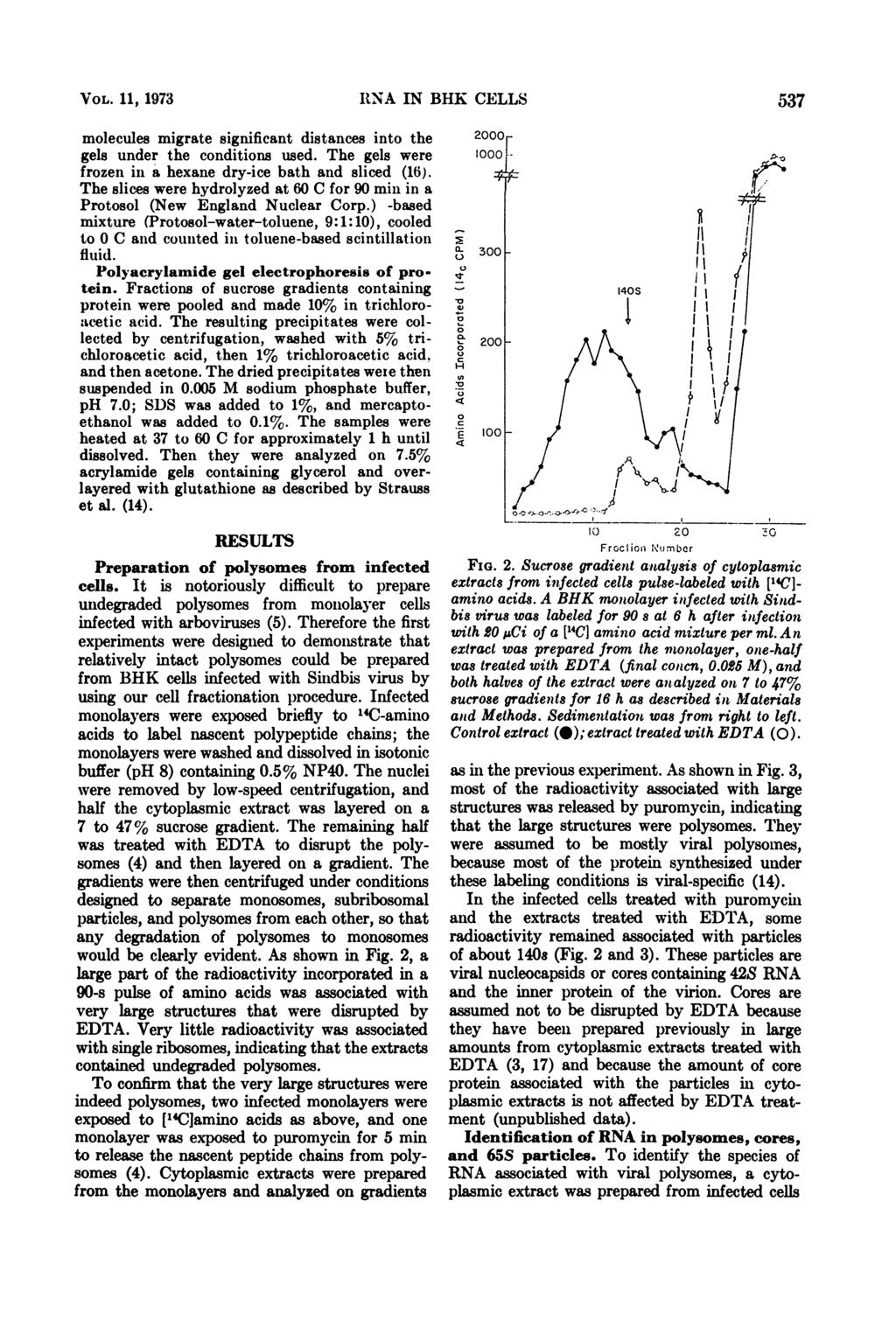 VOL. 11, 1973 molecules migrate significant distances into the gels under the conditions used. The gels were frozen in a hexane dry-ice bath and sliced (16).