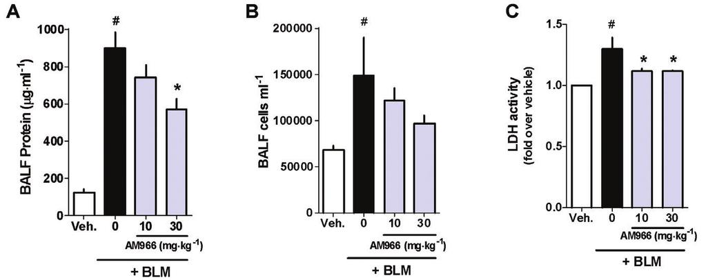 JS Swaney et al 1705 Figure 4 AM966 reduces vascular leakage, inflammation and lung injury and inflammation in a3daybleomycin model. Mice were given intratracheal bleomycin sulfate (BLM; 1.