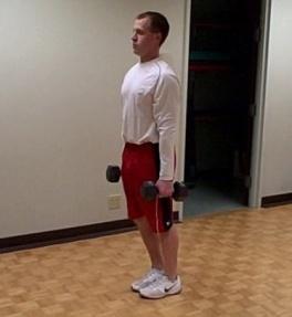 Lunges- forward walking (DB) Coaching Tips: Grasp dumbbells, one in each hand with palms facing in.