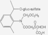 conjugate s-hydroxyacetochlor glucose sulfate conjugate Hydroxyethyl s-methylsulfone glucose conjugate Hydroxyethyl