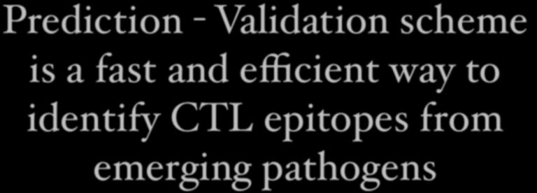 Prediction - Validation scheme is a fast and efficient way to identify CTL epitopes