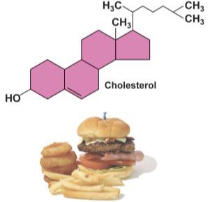 Part of cell membrane (cholesterol)