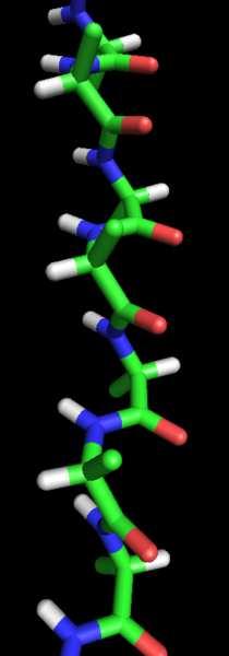 Proteins: Primary Structure Slide 93 / 140 The primary structure of a protein is the sequence of amino acids that comprise it.