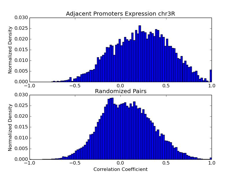 Activity of Adjacent Promoters Observations: 6967 Range : -0.74, 1.0 Mean : 0.22 Median : 0.23 p value : 1.