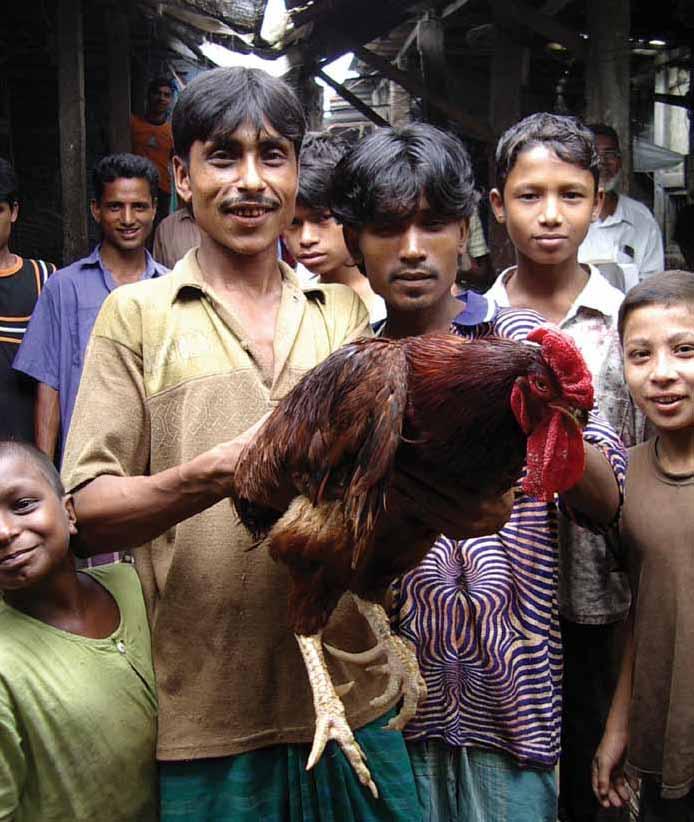 Animal Health A wet market in Rangpur,