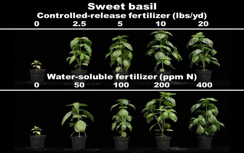 Nick Flax Nutritional Monitoring Series 2018 Literature Cited Alder, P.R., Simon, J.E. and Wilcox, G.E. 1989. Nitrogen form alters sweet basil growth and essential oil content and composition.