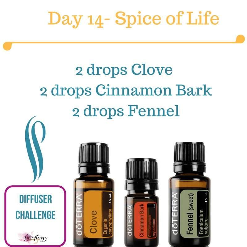 Spice of Life! Embrace the changing seasons and lift up your mood. Clove is spicy, warming and slightly bitter.