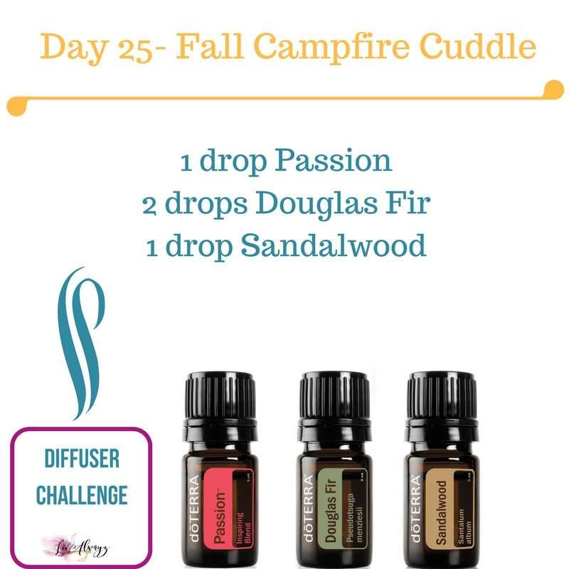 Who doesn't love to snuggle by the campfire..or indoor fireplace... Passion is a blend of spice and herbs. It has cinnamon, ginger, clove, sandalwood, jasmine, vanilla, and damiana.