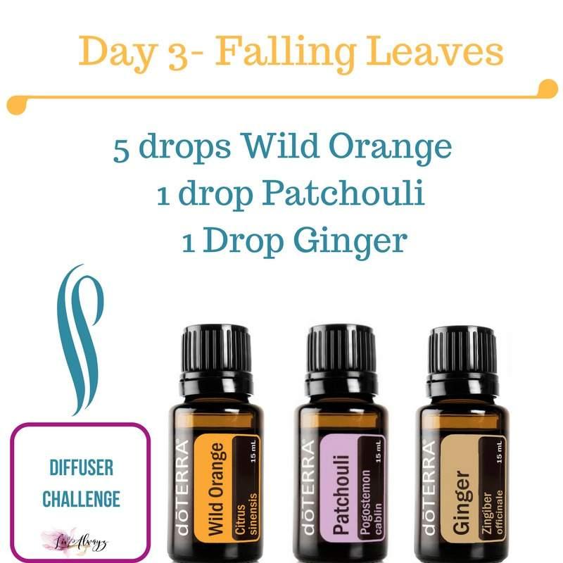Who doesn't love smell of falling leaves? With Fall in the air this is a blend that can help you welcome then next season, calm and relaxed. Wild Orange is fresh, citrusy, and sweet.