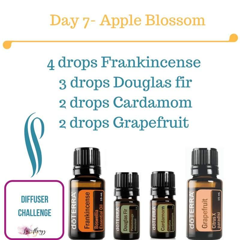 When I think of FALL I think of apples..and the sweet smell of apple blossoms.. This is one of my favorite blends... Frankincense is rich, warm, and sweet.