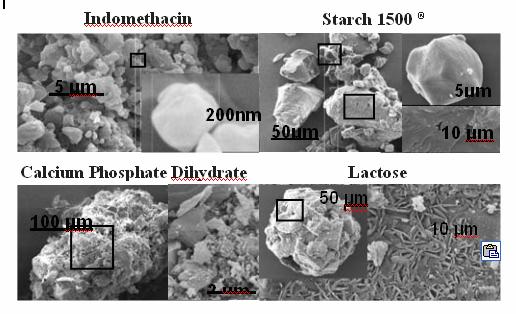 The particle sizes obtained from both techniques are in very good agreement. There are some larger particles of indomethacin than were observed by SEM.
