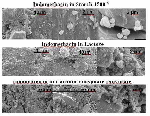 The micrographs below show what is believed to be the interaction between indomethacin and the different excipients: It can be seen that the indomethacin particles are attached to the surface and