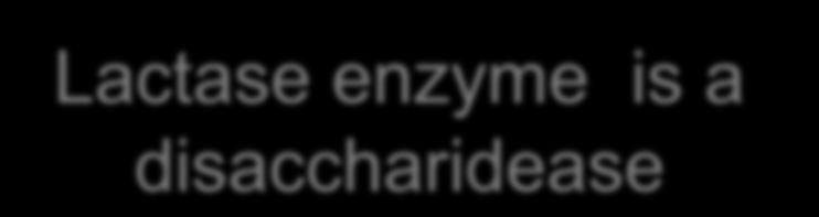 enzyme is a