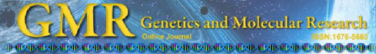 Association of polymorphisms of the xeroderma pigmentosum complementation group F gene with increased glioma risk W.K. Zhou 1, L.Y. Huang 1, L. Hui 1, Z.W. Wang 1, B.Z. Jin 1, X.L. Zhao 1, X.Z. Zhang 1, J.