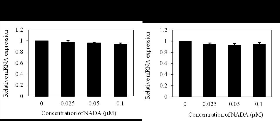 SI Figures Fig. S1. NADA does not decrease the mrna level of E6/E7. HeLa cells were treated with NADA (0-0.1 M) for 24 h and HPV16 E6/E7 mrna levels were measured by qpcr.