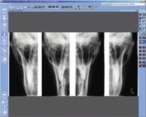 The optional Lateral-PA TMJ program produces lateral and PA views on the same radiograph.