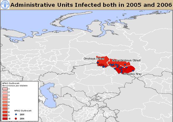 infected in 2006. In 2006 the disease appeared more clustered in space and time (5 May 2 July) compared to 2005.