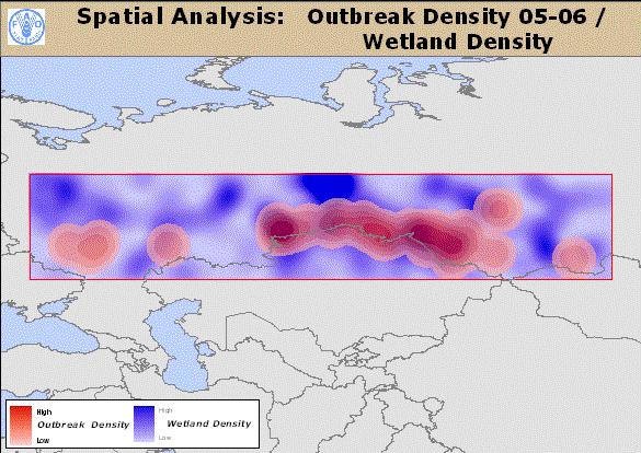 Map 6: Outbreak density for 2005 and 2006 (partial data) overlaid on wetland density and HPAI outbreaks in 2005 and 2006 HPAI virus ecology and wild bird migration dynamics Large populations of