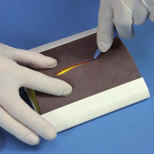 Making an incision Application of skin adhesives Interrupted suturing and knotting Stapling Latex