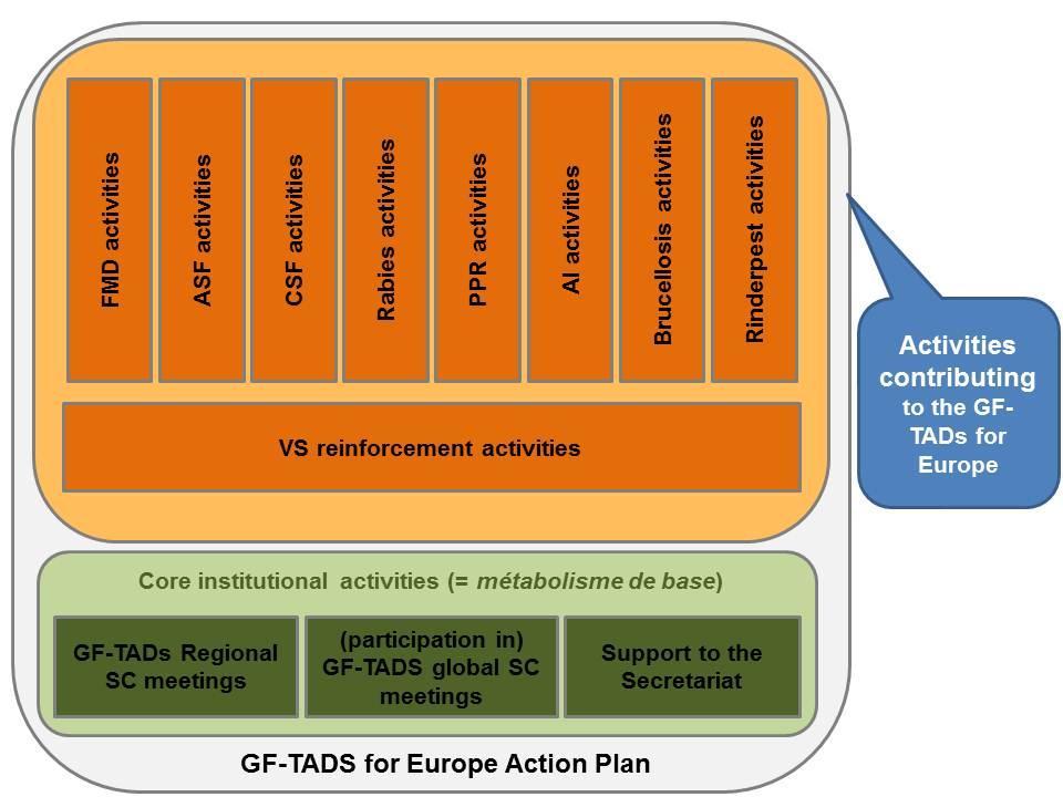 5. Be endorsed by the GF-TADs Steering Committee for Europe during its regular meetings or an e-consultation procedure on an ad-hoc basis (see point 22). 18.