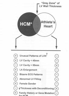 Causes of Sudden Cardiac Death Young athletes < 35 yrs = congenital cardiovascular diseases Hypertrophic cardiomyopathy (36%) Adult and senior athletes ischemic heart disease most common cause Sudden