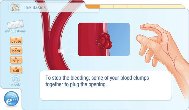 10 How do blood thinners work? Despite their name, blood thinners do not actually thin the blood.