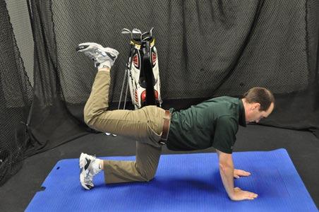 Bird Dog Hip Extenion This exercise helps build strength in the glutes and helps build stability in the core at the same time. This exercise improves lower body stability in your golf swing.