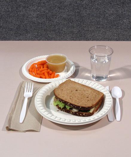 Meals in an Isolation Unit Most facilities require that disposable food trays and eating utensils are used in isolation units.