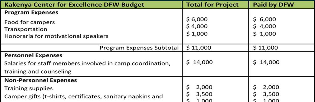 Program Budget DFW