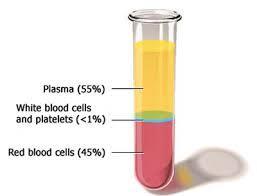 Blood Plasma Blood Plasma The body has 4 6 liters of blood. About 45% of blood volume is cells.