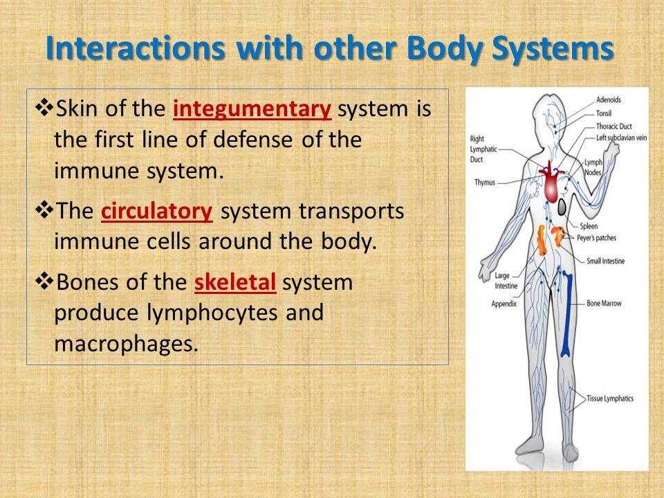Diseases: The lymphatic system can stop working properly if,,, or tissues become,,, or. Lymphoma: that starts in the lymphatic system is known as. It is the most serious lymphatic disease.