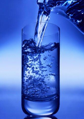 The Importance of Water Other than oxygen, water is the most needed nutrient for