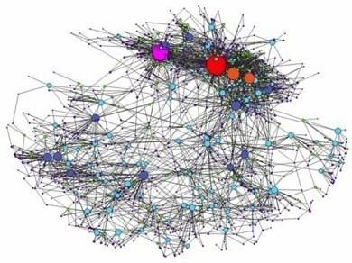 Spread of infection - networks Infection spreads from farm-to-farm by three routes: Movement of cattle Cattle Tracing