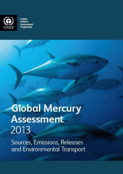 UNEP Mercury Programme: Two tracks 1. UNEP Global Mercury Partnership 2.