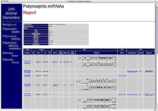 Part 2 Polymorphic mirnas DSPs altering mirna sequence