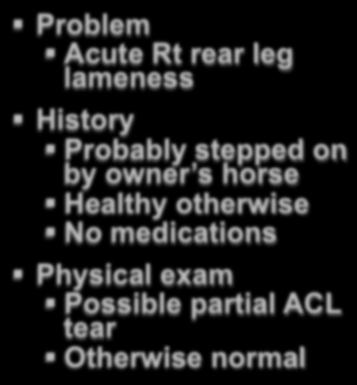 lameness History Probably stepped on by owner s