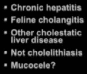 Urosdeoxycholic Acid Chronic