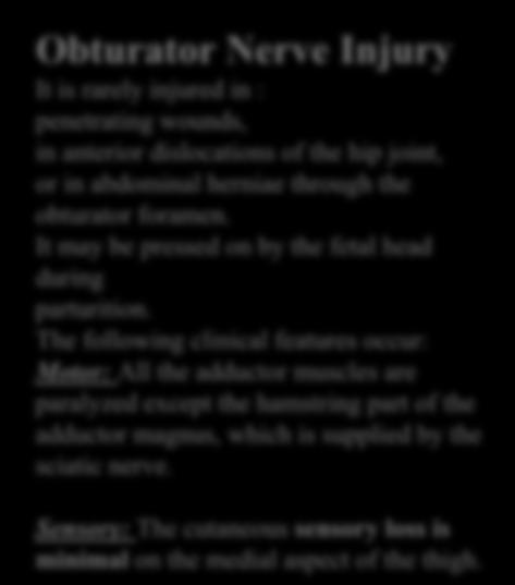 Obturator Nerve Injury It is rarely injured in : penetrating wounds, in anterior dislocations of the hip joint, or in