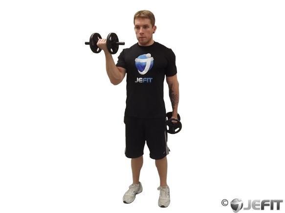 performance? A bicep curl is an example of which type of lever system?