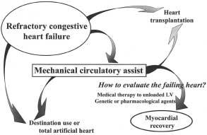 Sakamoto Fig. 1. Clinical pathway for the treatment of refractory congestive heart failure and the current problem in the bridge to recovery via mechanical circulatory assist.