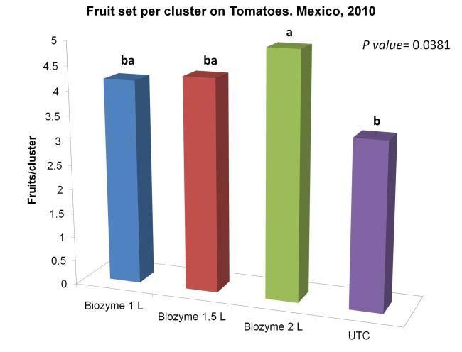 RESULTS OF BIOZYME IN TOMATO Figure 1. Evaluation of BiIOZYME rates (1.0, 1.5 and 2.