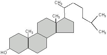 Steroids Steroids have a backbone of 4 carbon rings. Cholesterol (see diagram above) is the precursor of several other steroids, including several hormones.