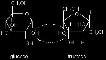 Structural isomers differ in their overall construction as shown above for glucose and fructose. Geometric isomers maintain the same carbon skeleton but a double bond occurs between carbon atoms.