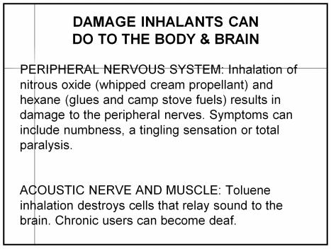 DAMAGE INHALANTS CAN DO TO THE BODY & BRAIN KIDNEY: Toluene impair the kidney's ability to control the amount of acid in the blood.