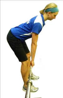 for Lower Back Problems Tim Keeley B.Phty, Cred.MDT, APA Principal Physiotherapist 1300 233 300 physiofitness.com.