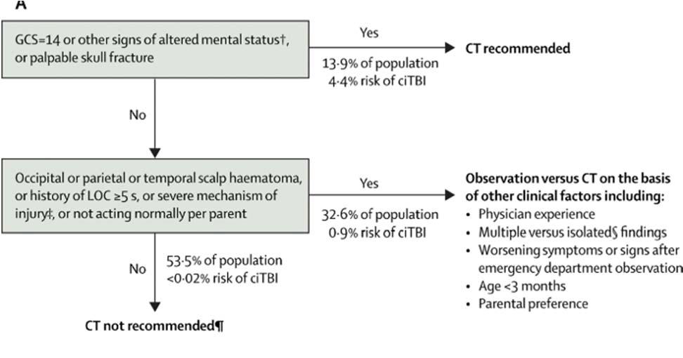 Under 2 years old Why identify all TBI: implications