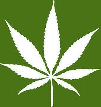 PREVENTING MARIJUANA USE AMONG YOUTH & YOUNG ADULTS 2 The Drug Enforcement Administration s (DEA) primary mission and responsibility is to enforce the nation's federal drug laws.